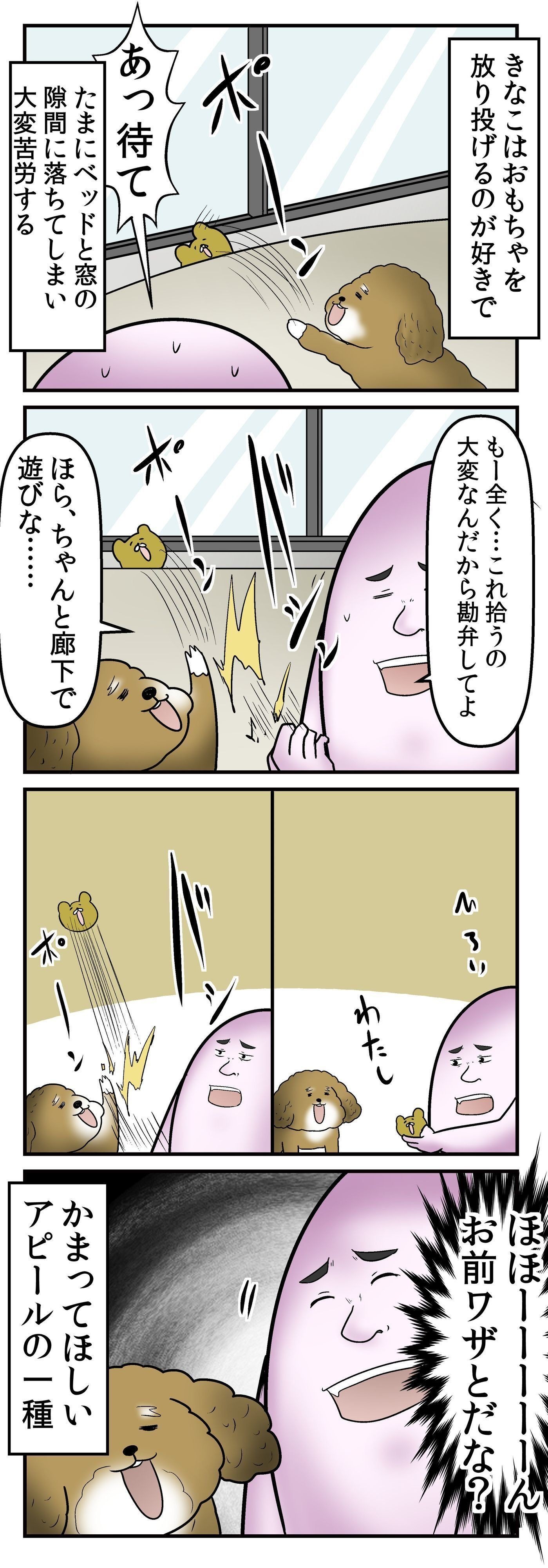 たぶんわざとだと思う やしろあずきときなこの日常