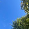 療法士の勉強会チャット