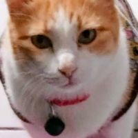 😺Pumpuy😺