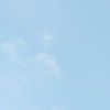 からぴち 固定 かぷ