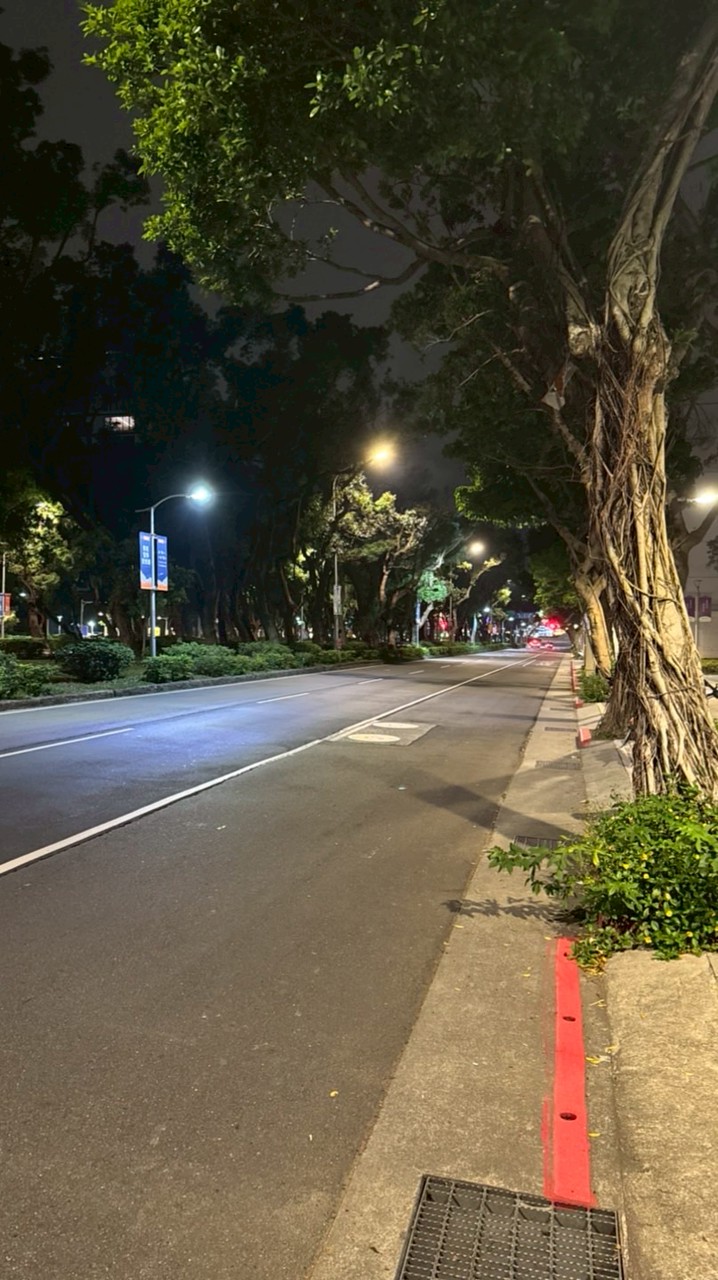 台北市區大街小巷一起跑