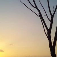 光禾校友～