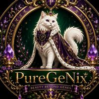 💜PureGeNix ComeBack💜