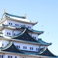 🇯🇵日本東京 迪士尼 鐮倉0805-0811連線代購GOGOGO🤍