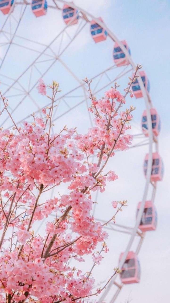 亦非也隨心🌸