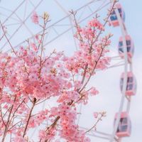 亦非也隨心🌸