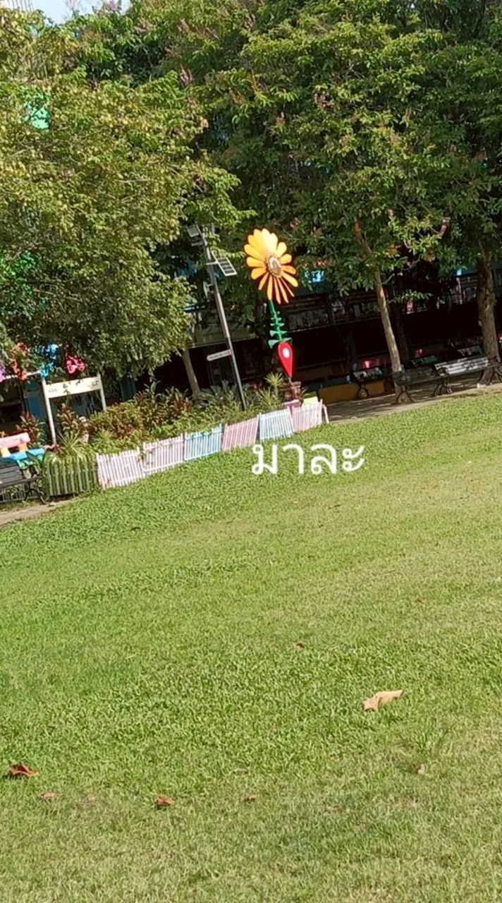 เล่นปลูกสวน