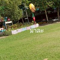 เล่นปลูกสวน