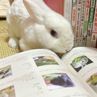 兔窩貓宅揪團來讀書🐰