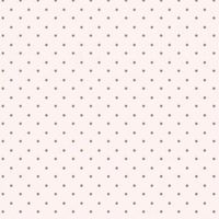 iibunny67