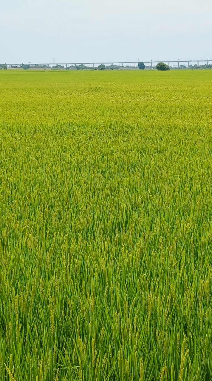 北市大幼在貳樓搞怪
