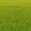 北市大幼在貳樓搞怪