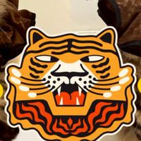 🐯老虎幫🐯棕虎斑緬因俱樂部（棕虎斑限定）