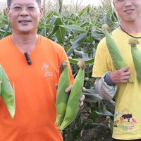 鄭煥諭（  玉 米 哥 ）