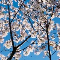 ドズル社推し集合