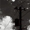 歌やアニメ好きじゃない人でもいいよ