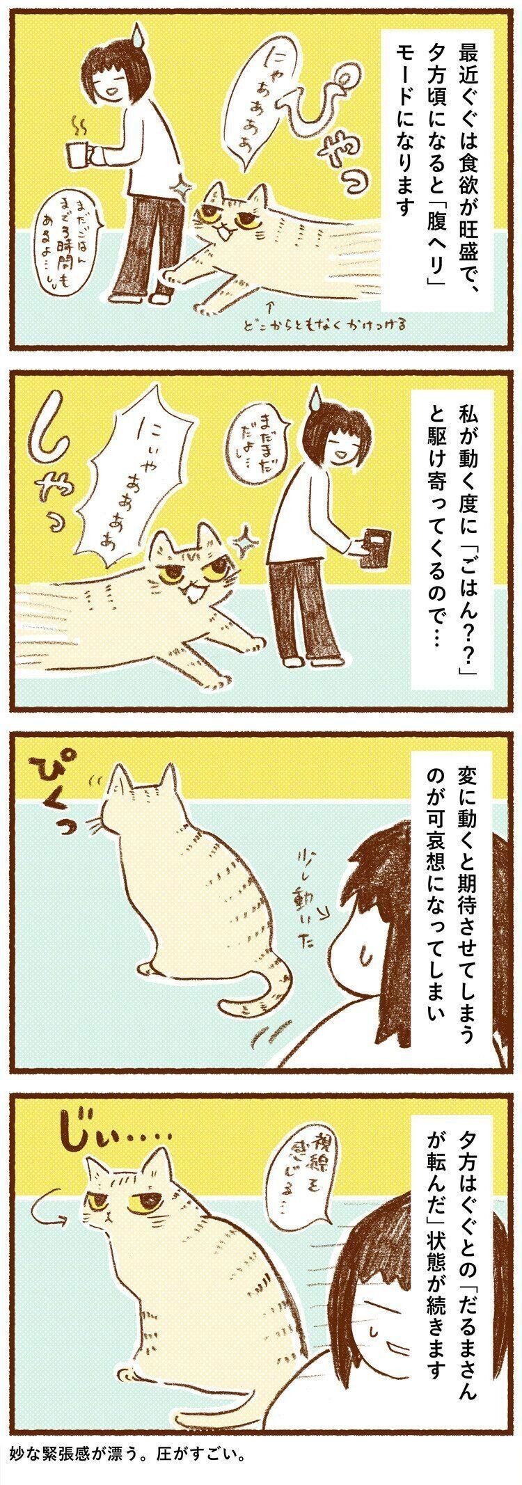 ごはん と駆けてくる猫と だるまさんが転んだ遊び