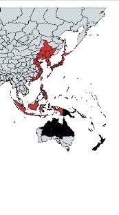 架空国家経営！！あなただけの国を経営しよう！