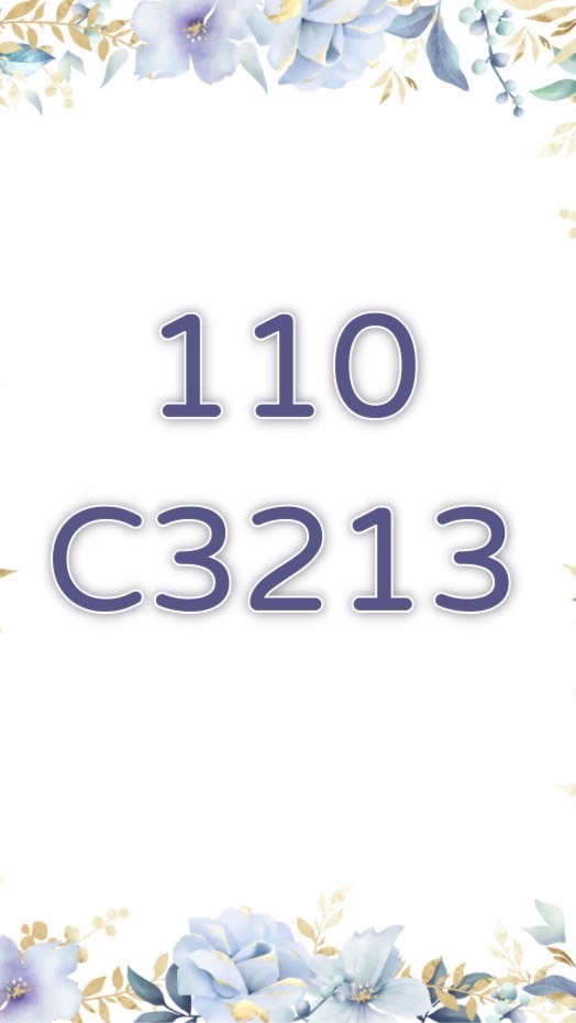 110C3213