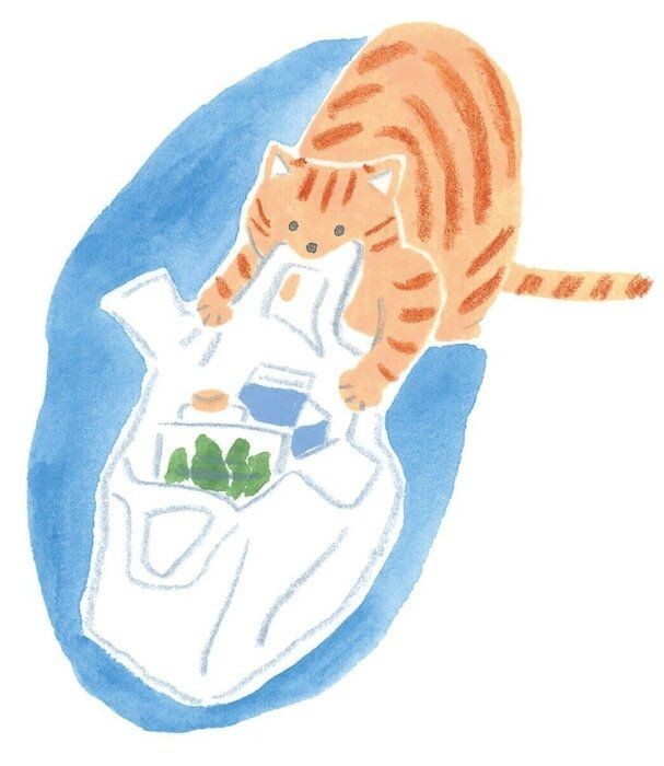 心の健康は大切 心のバランスを崩した猫に見られる変化 ねこのきもちnews