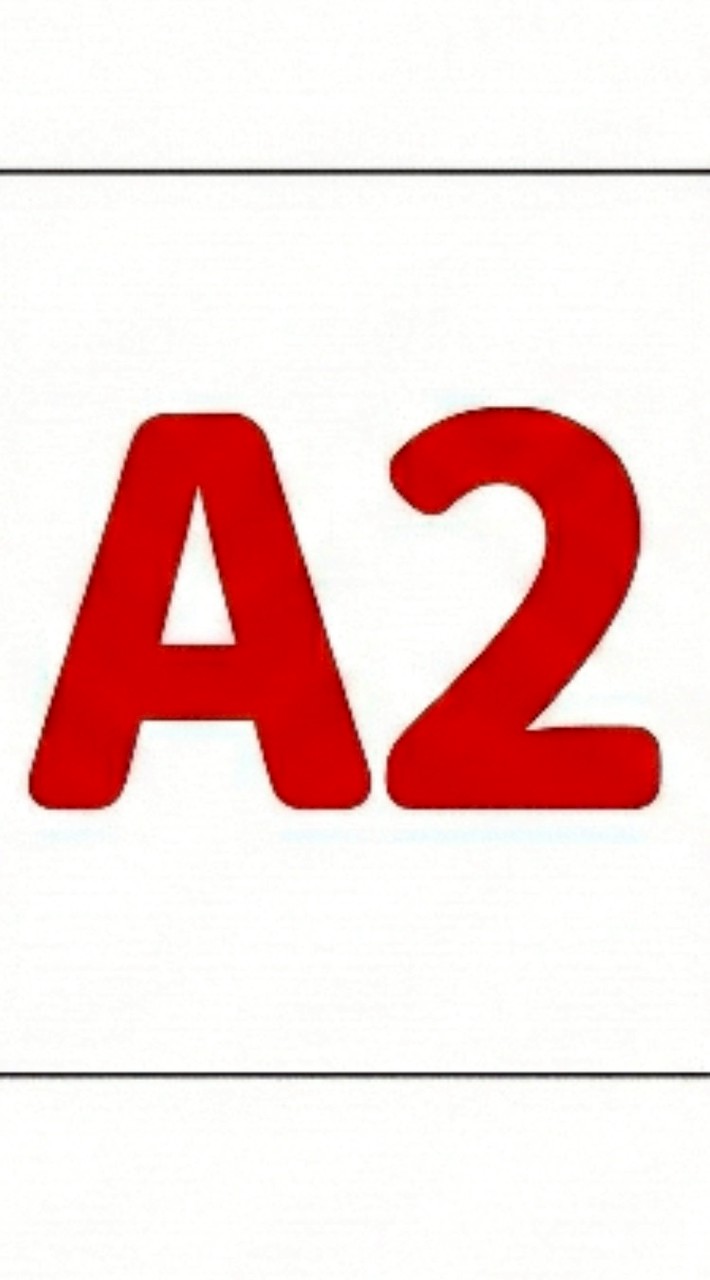 55688 北區A2小隊