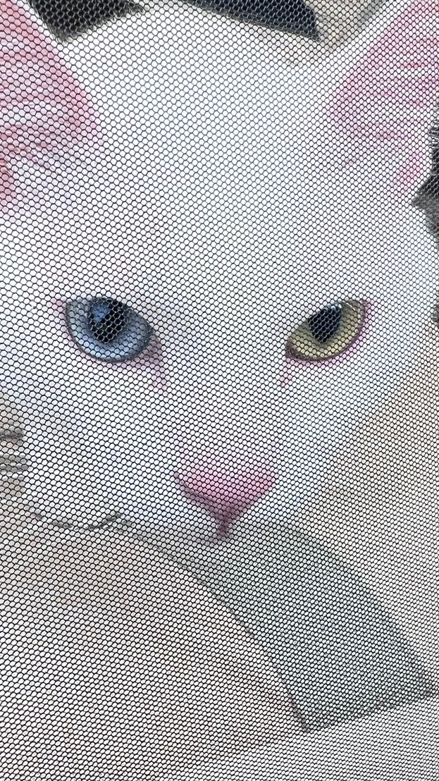 卍煞龍幫乂