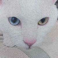 卍煞龍幫乂