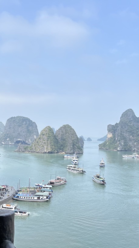 河馬桑舖