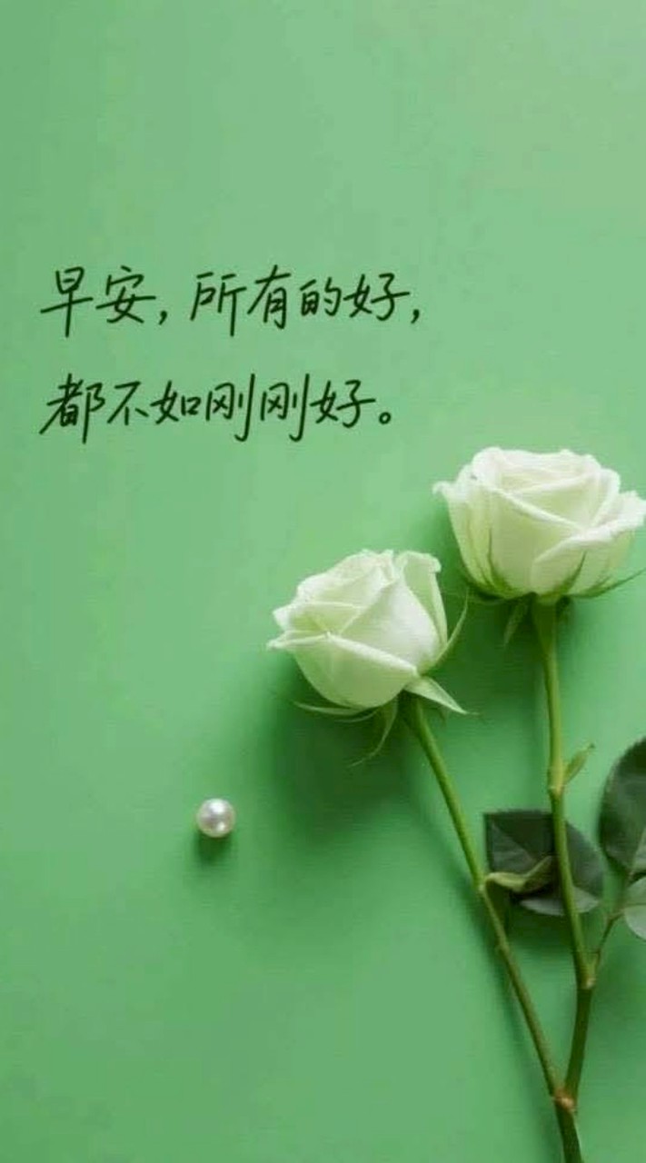 紫憂新天地