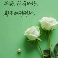 紫憂新天地