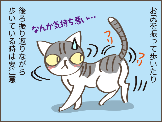 ギャー また踏んじゃったじゃない 我が家の猫のコロコロの 落とし物 しまえもん