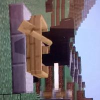 我的世界Minecraft (Verity粉絲團）