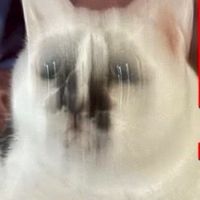 誰でもおっけー‼️みんなで楽しく雑談、ゲームしよう‼️