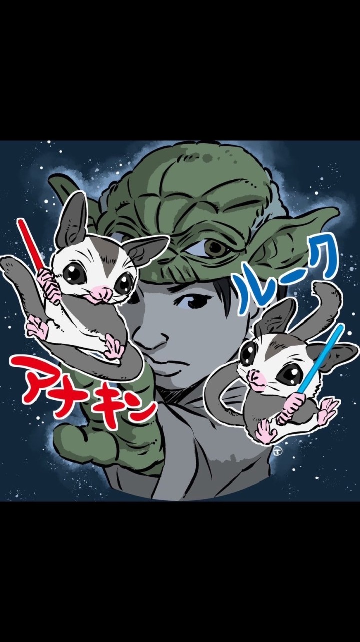 たぁたぁと愉快な仲間たち