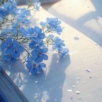 【全緩夢也ハント】ぼくときみのふたりだけで楽しい結婚式を ꕤ︎︎｡°⋆
