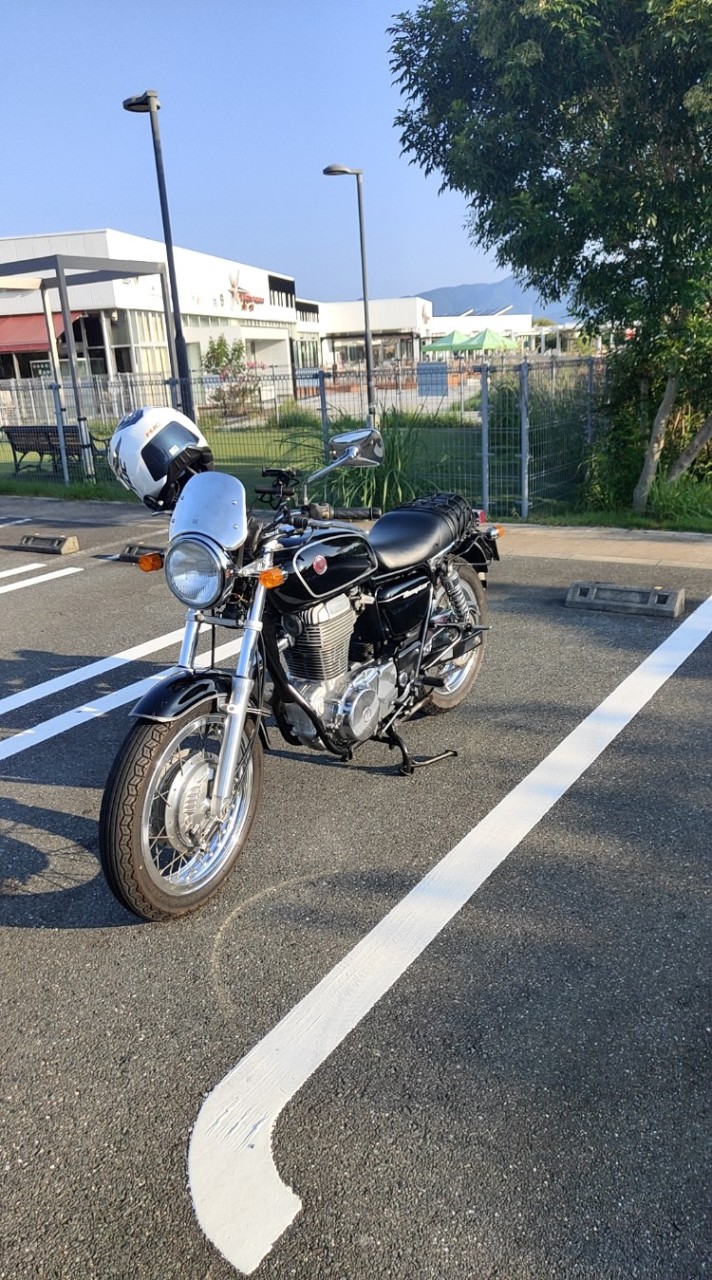 テンプター情報交換