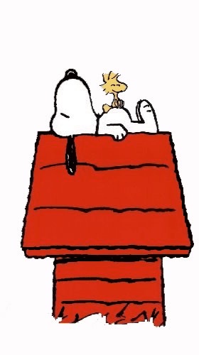 SWAN犬 おねがい社長