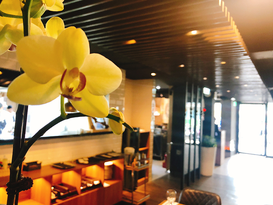 蝸牛,蝸牛義大利餐廳,天母牛排,天母美食懶人包,芝山義大利麵,芝山牛排,芝山異國料理,芝山法式料理,石牌法式料理,石牌義式餐廳,北投美食