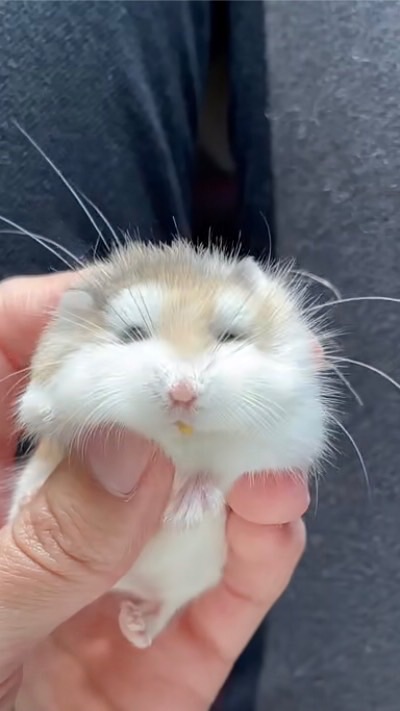 發洩情緒群