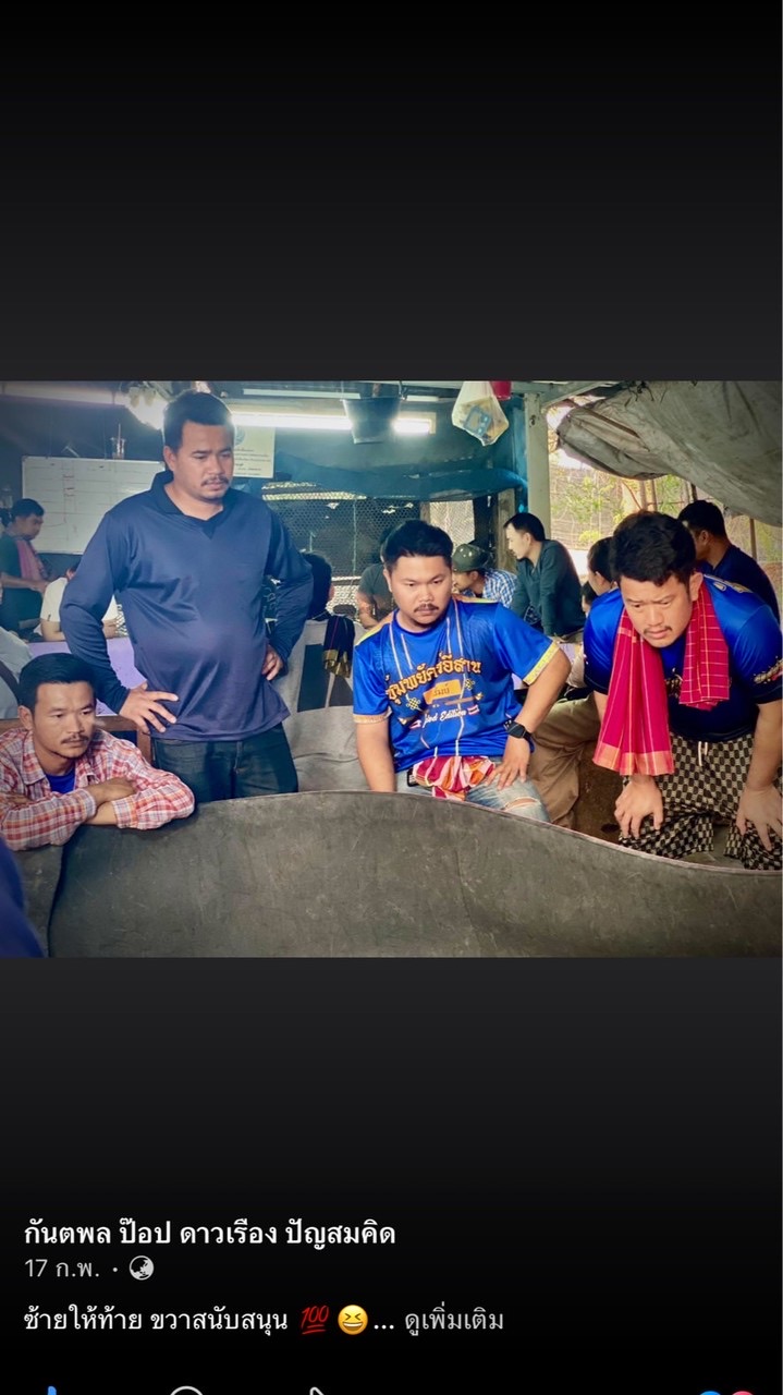 เทพเทวัญ & ดาวเรืองฟาร์ม