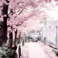 姻緣寺.