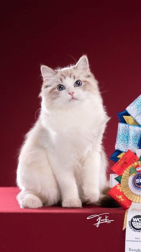 La’moon Cattery