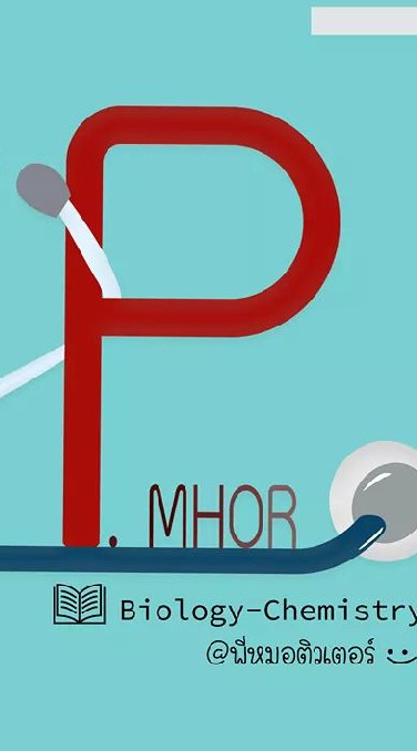 OpenChat P.Mhor tutor