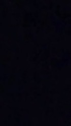 ここ掘れワンワン