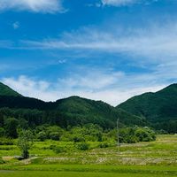 騏騏貴賓群組new
