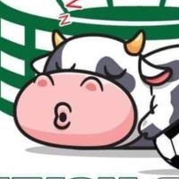 เตะบอลบุฟเฟ่ต์ สนามโคนอนฟุตบอลคลับ บางกรวย นนทบุรี