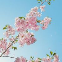 【環境広報委員会】令和６年度