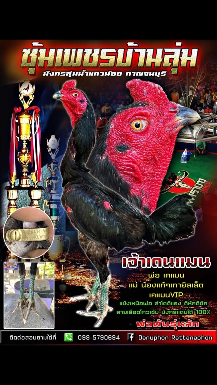 ซุ้ม เพชรบ้านลุ่ม🐲🐉💯