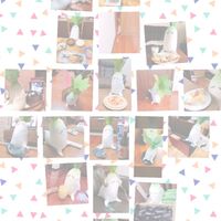 元気モリモリごはんパワーだ城