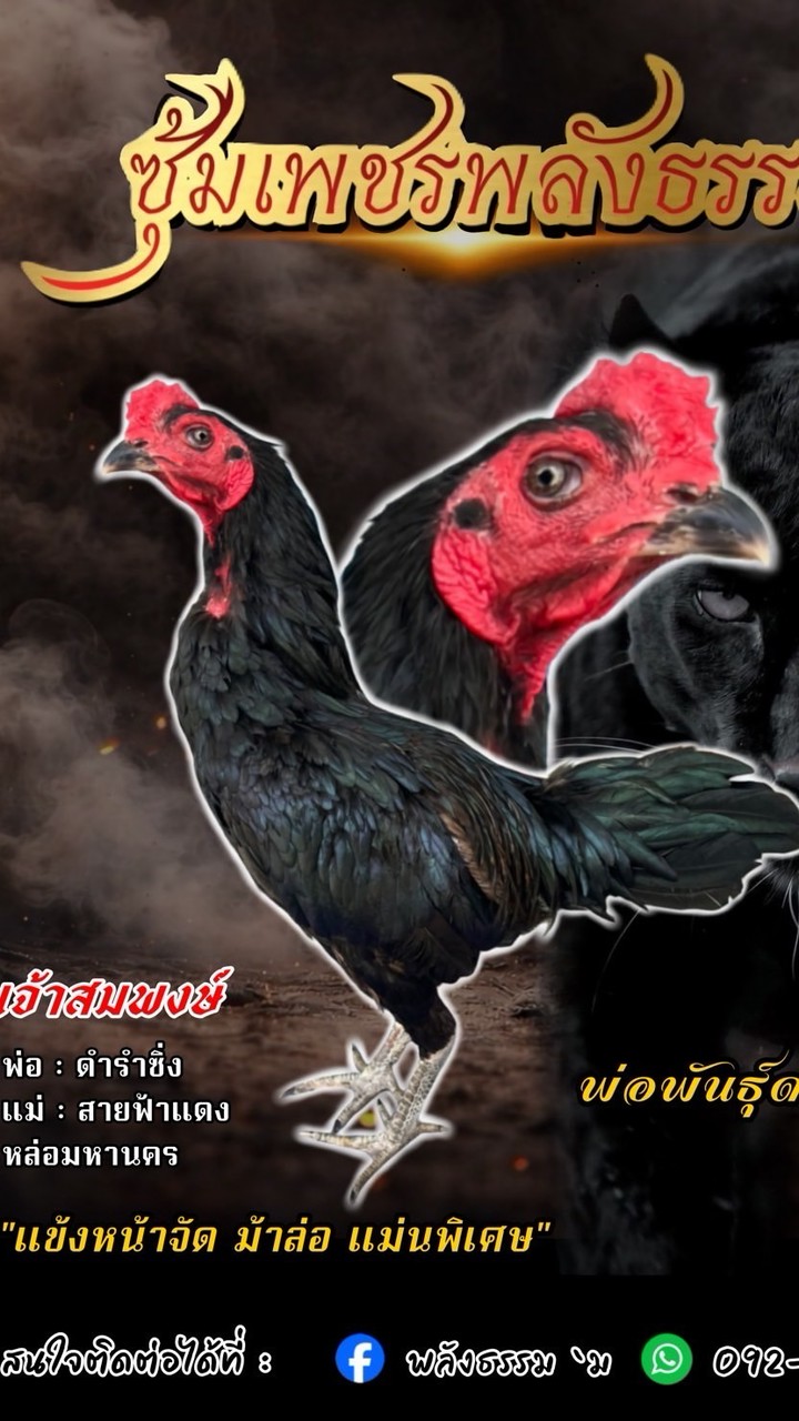เพชรพลังธรรม